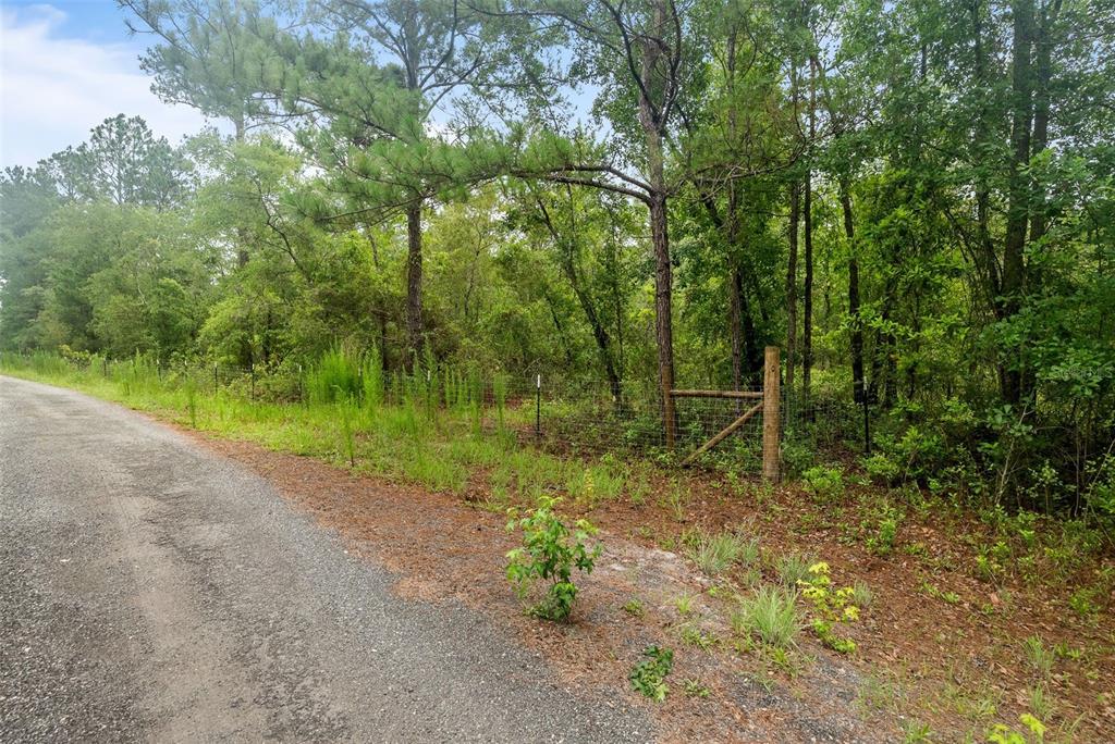Tbd Retreat Road Keystone Heights, FL 32656 - Photo 13 of 30