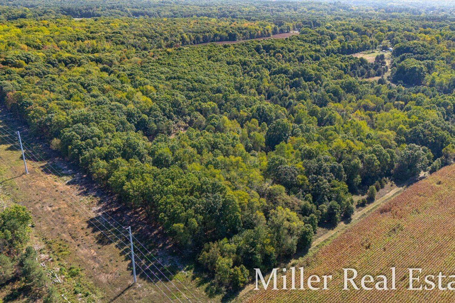 V/l Saddler Road Plainwell, MI 49080 - Photo 12 of 20 11-WMVLPlainwell-12