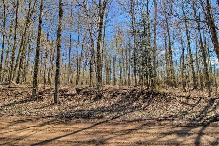 East Sugar Grove Road Custer, MI 49405 - Photo 11 of 23 c11