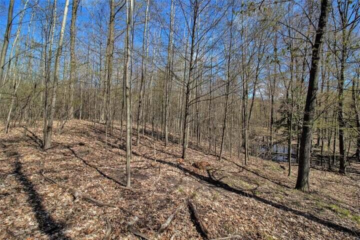 East Sugar Grove Road Custer, MI 49405 - Photo 13 of 23 c13
