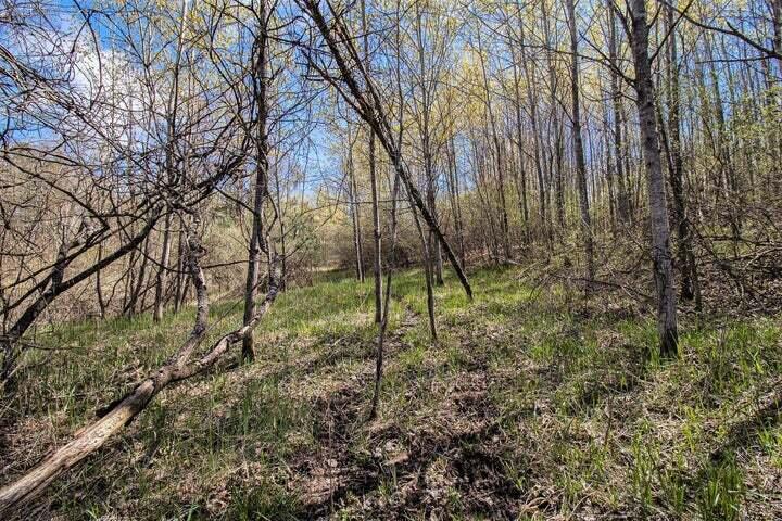 East Sugar Grove Road Custer, MI 49405 - Photo 16 of 23 c16