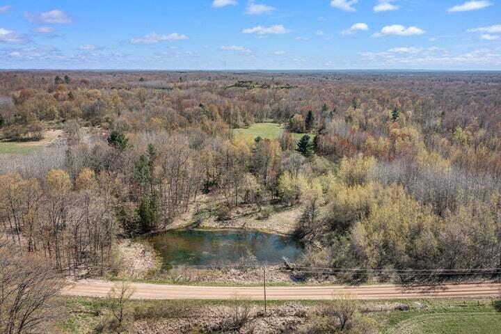 East Sugar Grove Road Custer, MI 49405 - Photo 18 of 23 d1