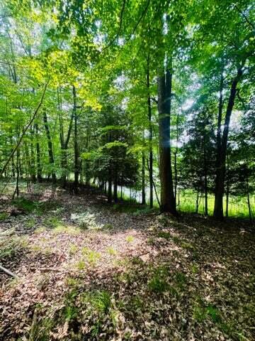 East Sugar Grove Road Custer, MI 49405 - Photo 21 of 23 d20