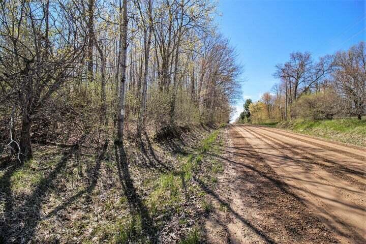 East Sugar Grove Road Custer, MI 49405 - Photo 9 of 23 C 9