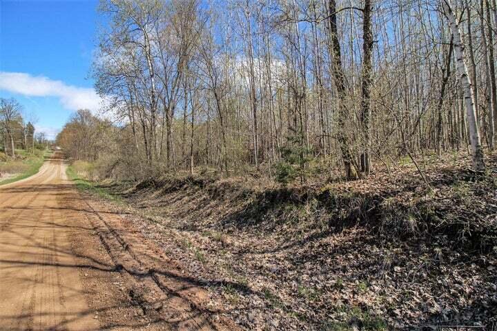East Sugar Grove Road Custer, MI 49405 - Photo 10 of 23 C10