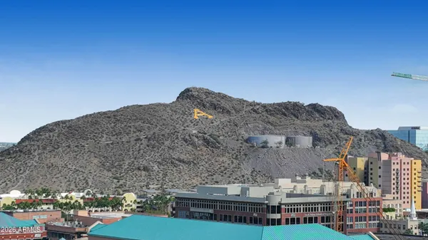 a plant that is in front of a house