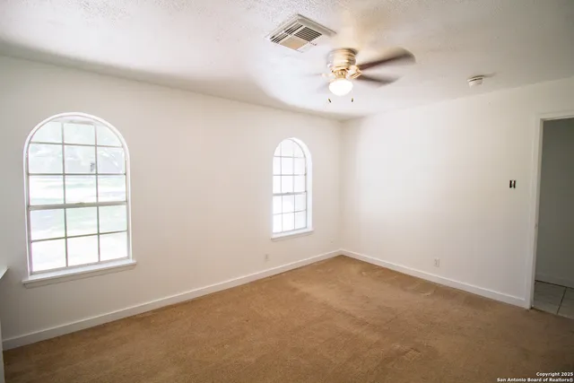 a view of a yard with plants and a large tree