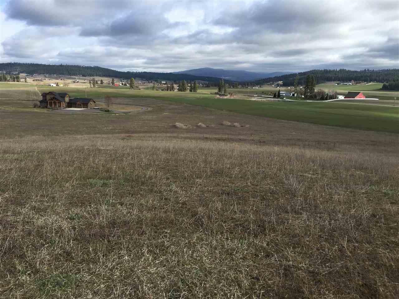 Moffatt Road Mead, WA 99021 - Photo 2 of 4 Gallery Image 2