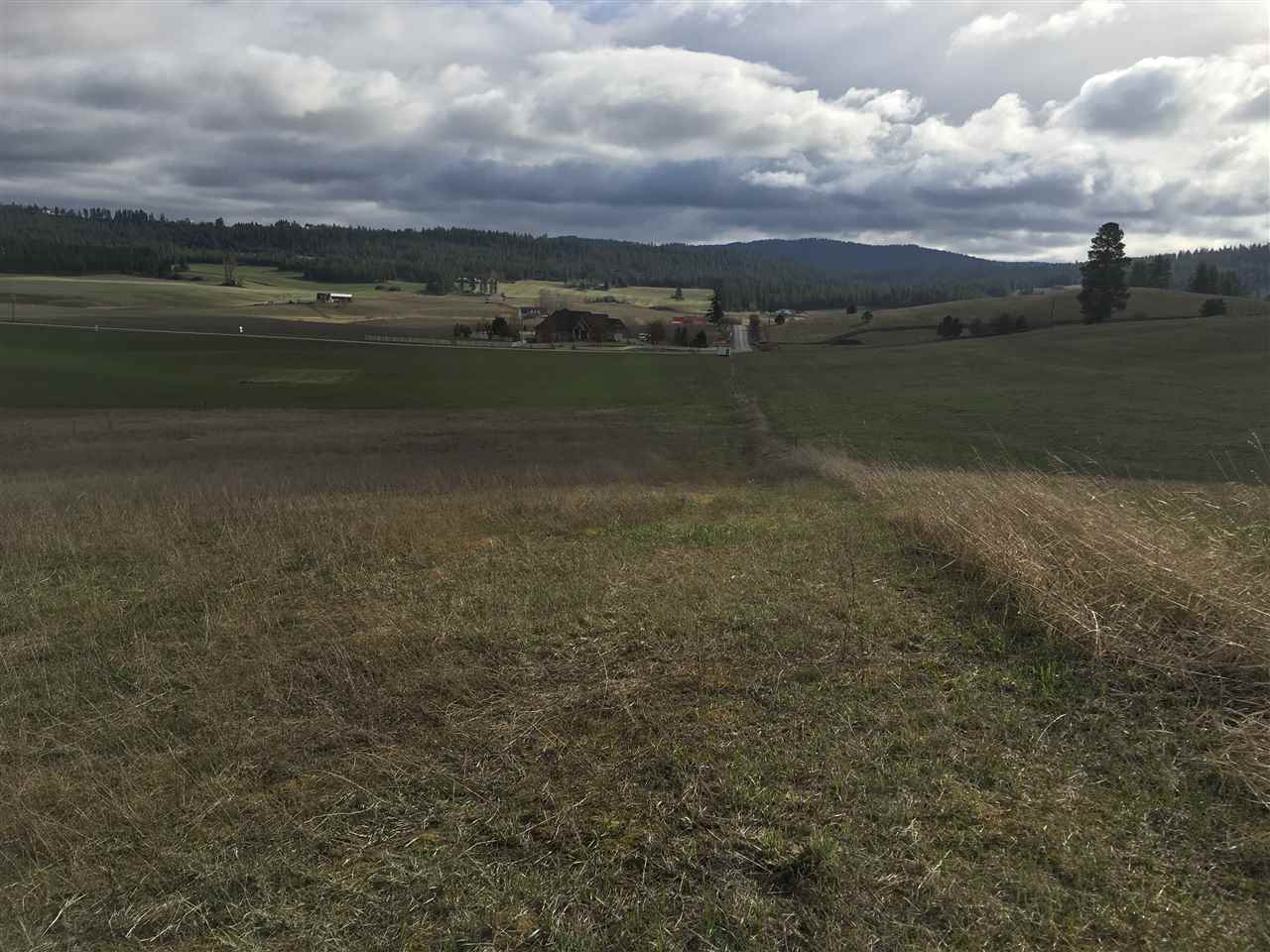 Moffatt Road Mead, WA 99021 - Photo 3 of 4 Gallery Image 3
