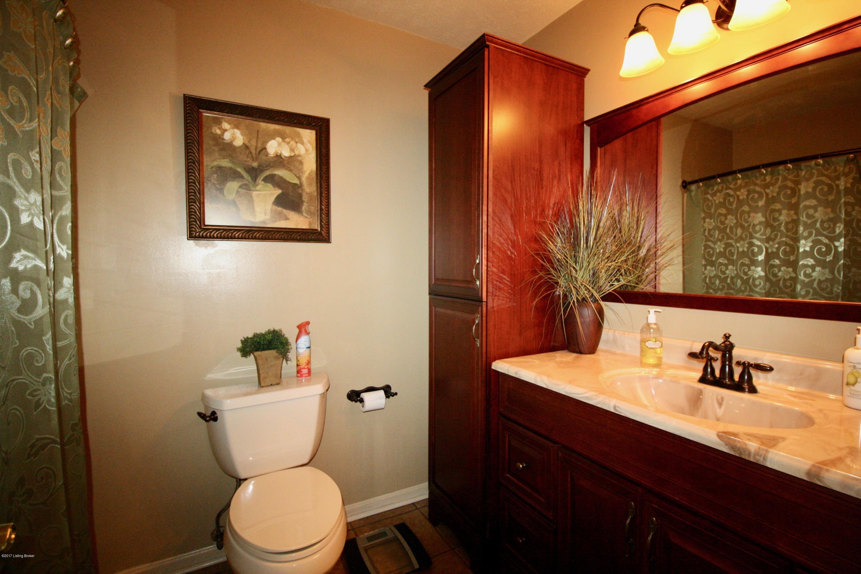 205 Rolling Ridge Way Simpsonville, KY 40067 - Photo 11 of 20 Full hall bath