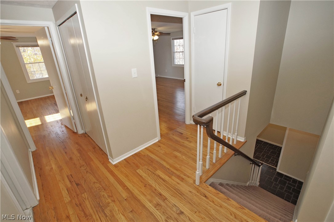 4644 West Farnhurst Road Cleveland, OH 44121 - Photo 25 of 31