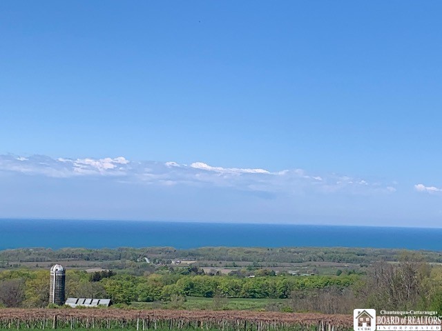 0 Hardscrabble Road Westfield, NY 14787 - Photo 1 of 1 Gallery Image 1