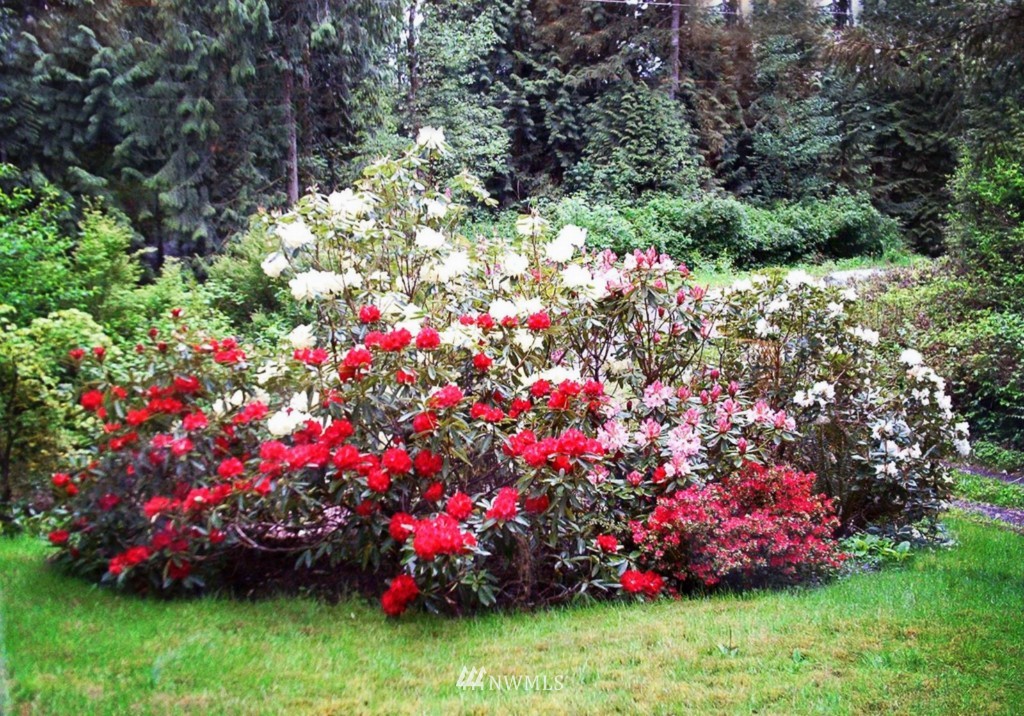 21413 High Rock Road Monroe, WA 98272 - Photo 25 of 25 Gallery Image 25