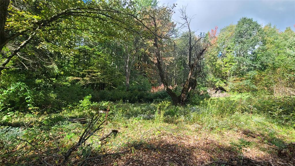 5881 County Line Road Willet, NY 13862 - Photo 5 of 26