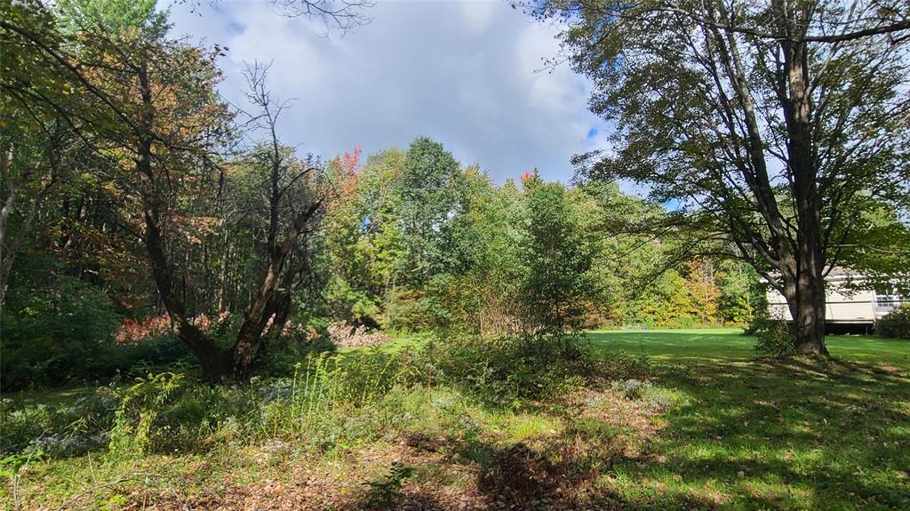 5881 County Line Road Willet, NY 13862 - Photo 6 of 26