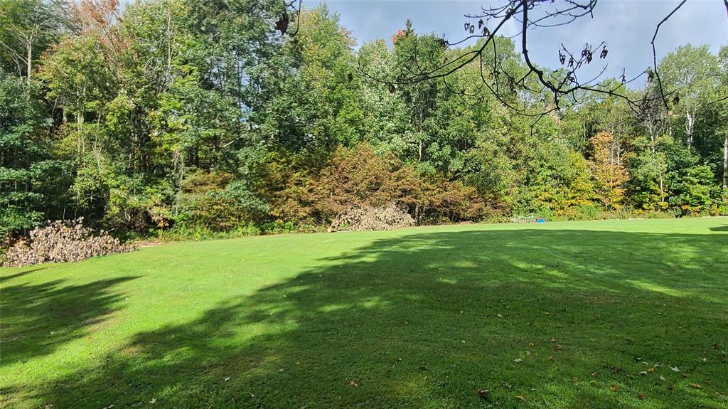 5881 County Line Road Willet, NY 13862 - Photo 8 of 26