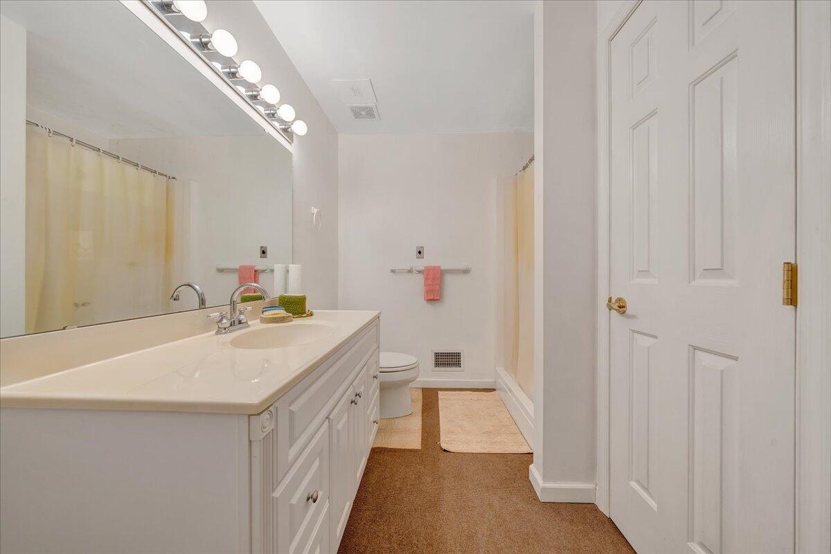 102 High Point Road Moneta, VA 24121 - Photo 38 of 64 LL Bathroom