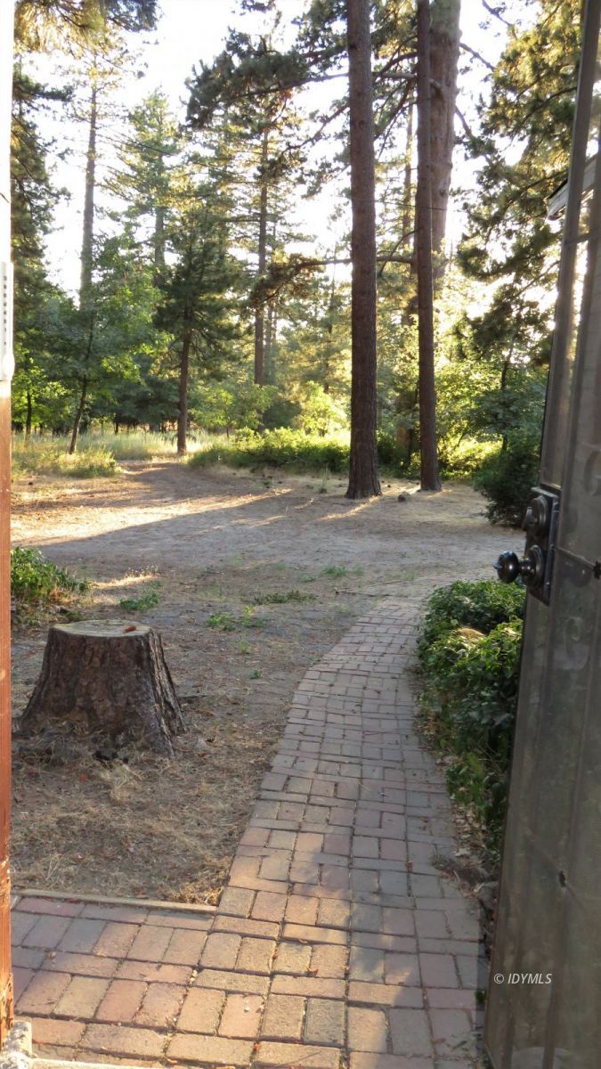 27300 Saunders Meadow Road Idyllwild, CA 92549 - Photo 11 of 39 a view of a yard with plants and large trees