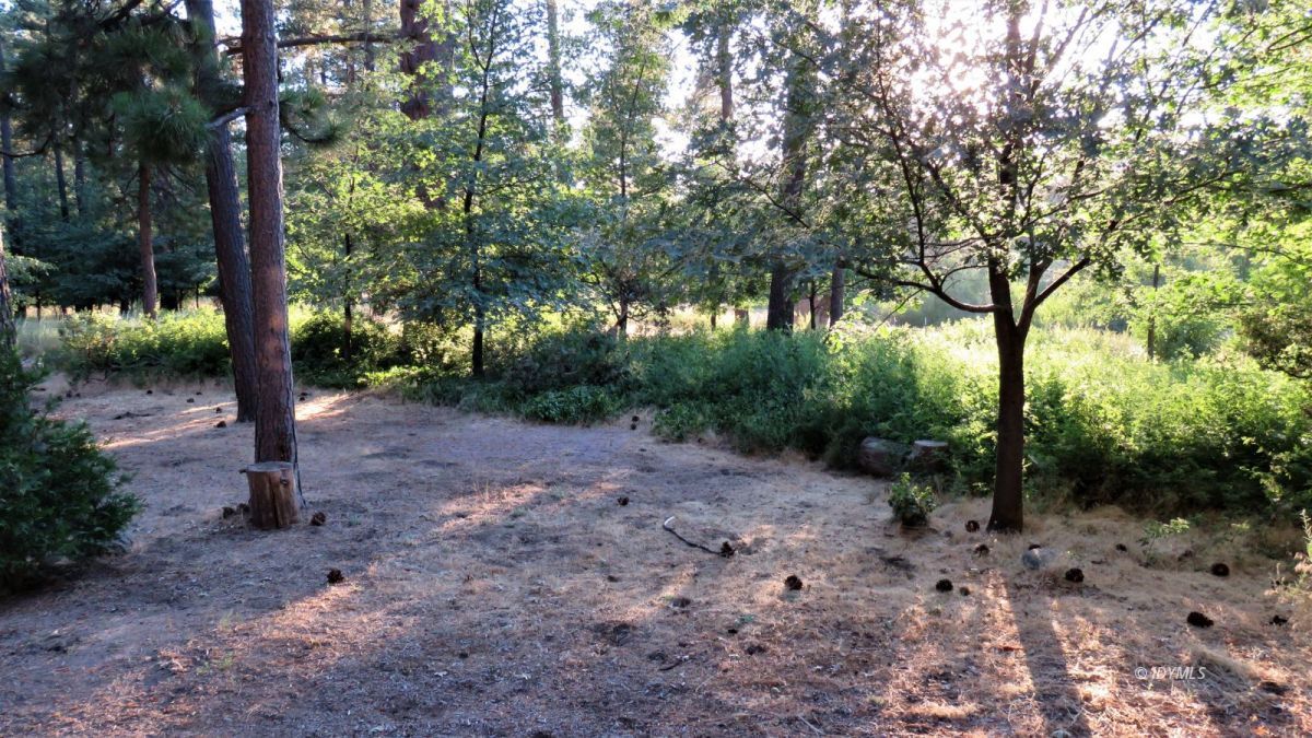 27300 Saunders Meadow Road Idyllwild, CA 92549 - Photo 38 of 39 a view of a forest with trees in the background