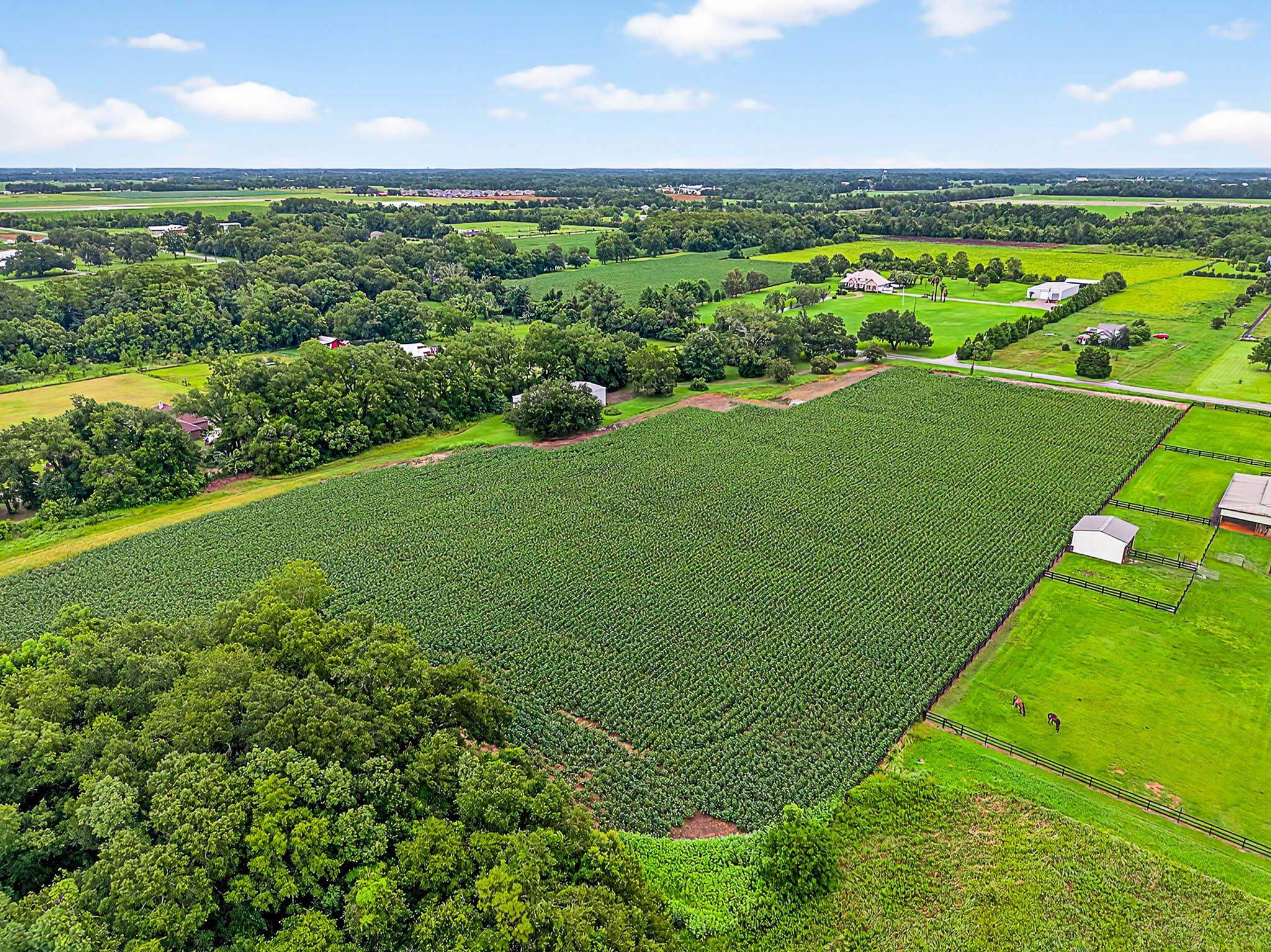 17270 Davis Road Summerdale, AL 36580 - Photo 51 of 97 Aerial View