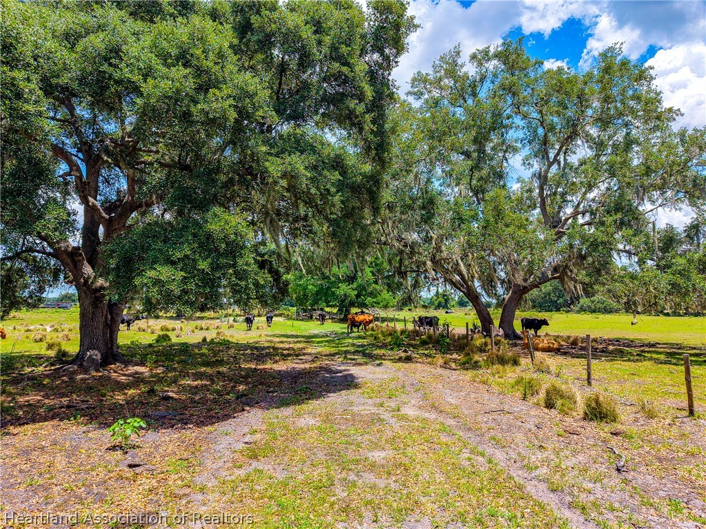 3030 North Nursery Road Zolfo Springs, FL 33890 - Photo 31 of 32