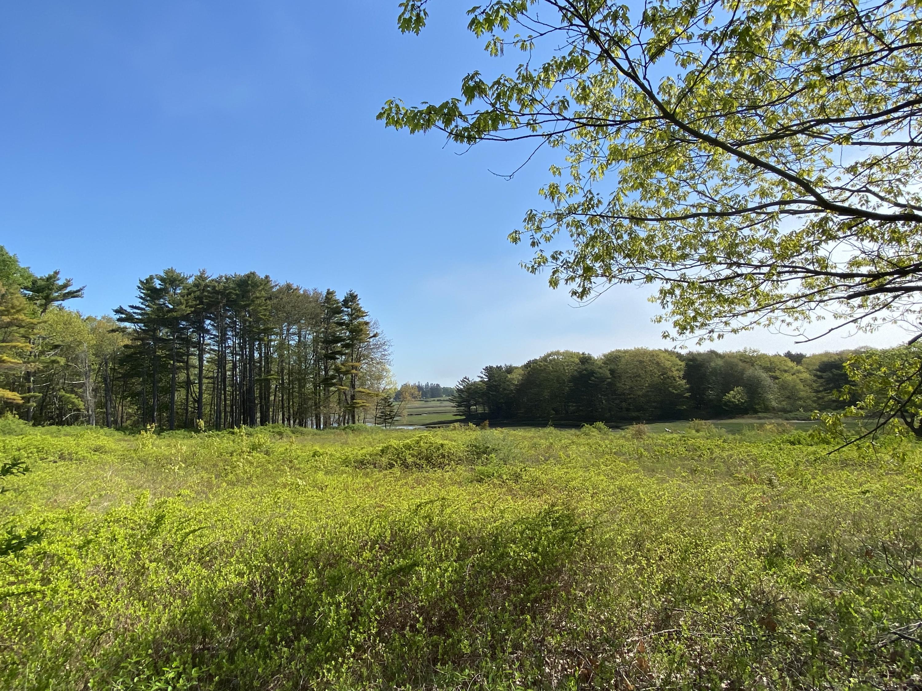 0 Cresent Surf Road Kennebunk, ME 04043 - Photo 11 of 20 FB19E4F0-0B2B-4291-8170-E52C7DF6481E