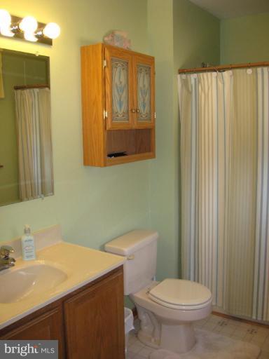 21682 Tanyard Road Preston, MD 21655 - Photo 13 of 16 Master Bath