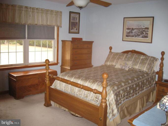 21682 Tanyard Road Preston, MD 21655 - Photo 3 of 16 Master Bedroom