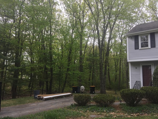 61 Tadmuck Road Westford, MA 01886 - Photo 22 of 22 Gallery Image 22