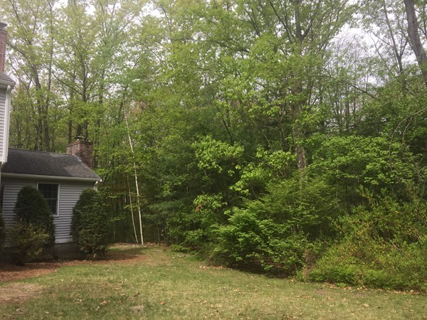 61 Tadmuck Road Westford, MA 01886 - Photo 4 of 22 Gallery Image 4