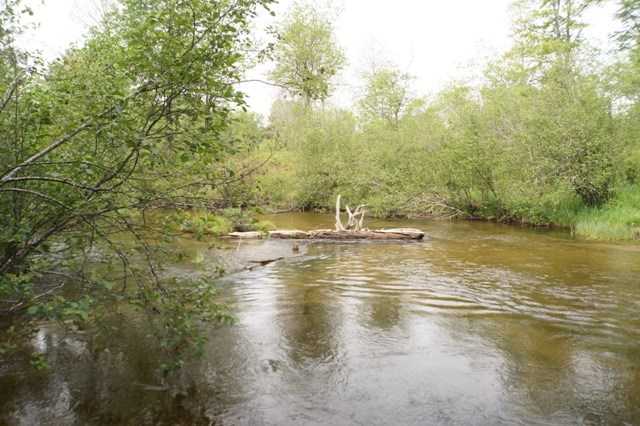 8603 Partridge Roost Road Frederic, MI 49733 - Photo 28 of 36 1801734-28.JPG
