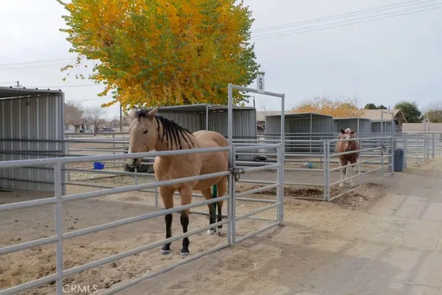 a chair and table in front of a house