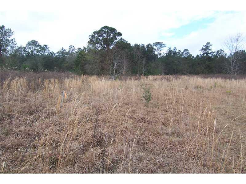 0 Rheusaw Crawford Road Pearl River, LA 70452 - Photo 1 of 6 Gallery Image 1