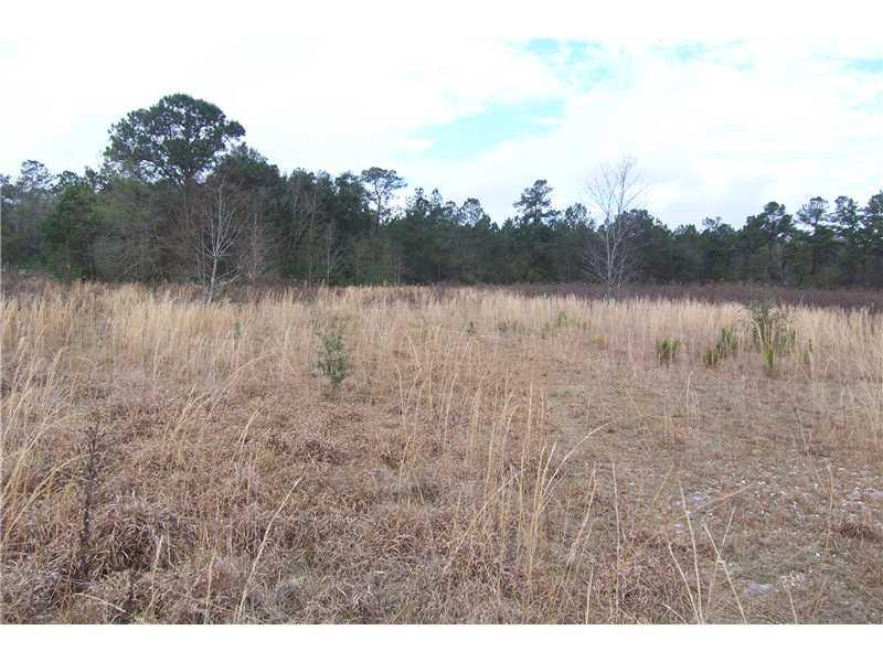 0 Rheusaw Crawford Road Pearl River, LA 70452 - Photo 2 of 6 Gallery Image 2