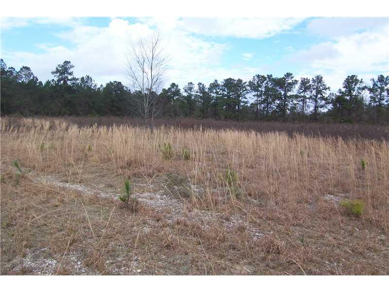 0 Rheusaw Crawford Road Pearl River, LA 70452 - Photo 3 of 6 Gallery Image 3