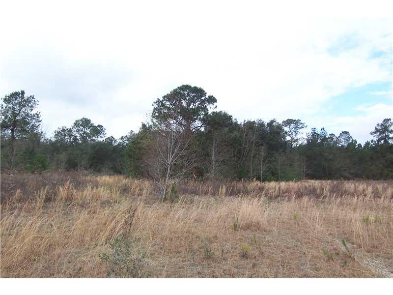 0 Rheusaw Crawford Road Pearl River, LA 70452 - Photo 5 of 6 Gallery Image 5