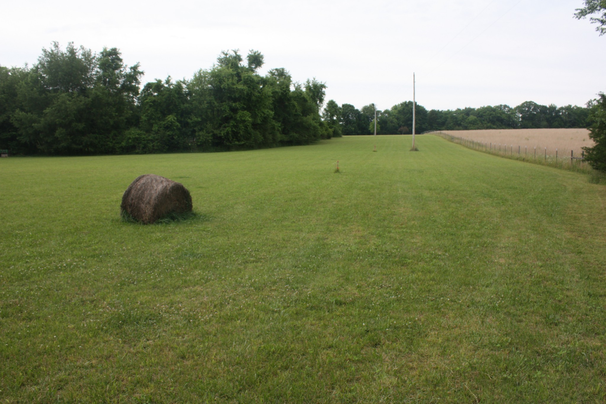 0 Old Highway 99 Spring Hill, TN 37174 - Photo 1 of 22 a view of a field and trees in the background