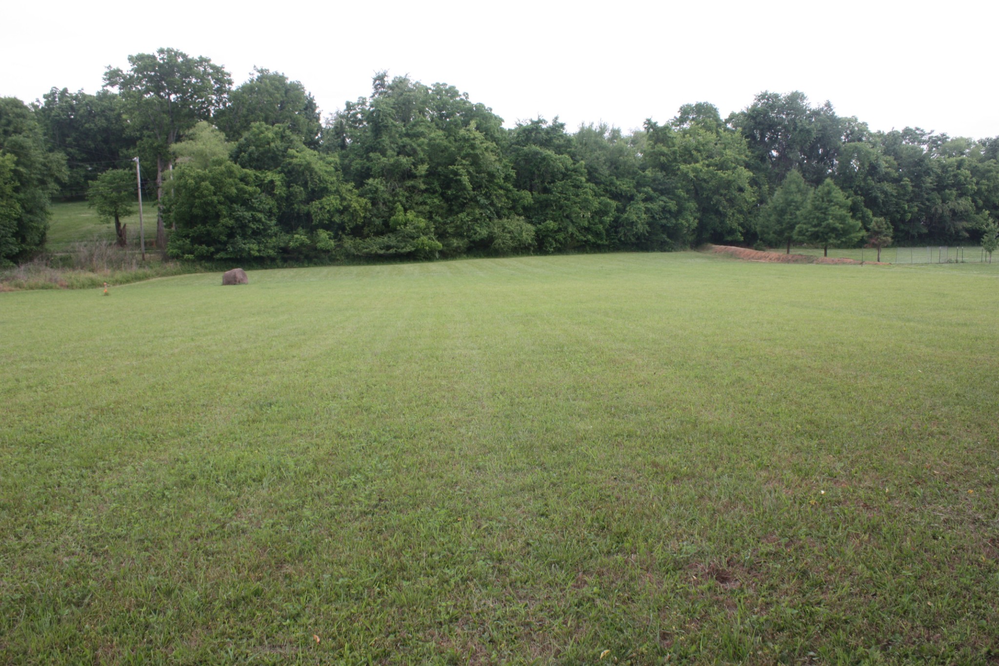0 Old Highway 99 Spring Hill, TN 37174 - Photo 2 of 22 a view of a large yard with a trampoline