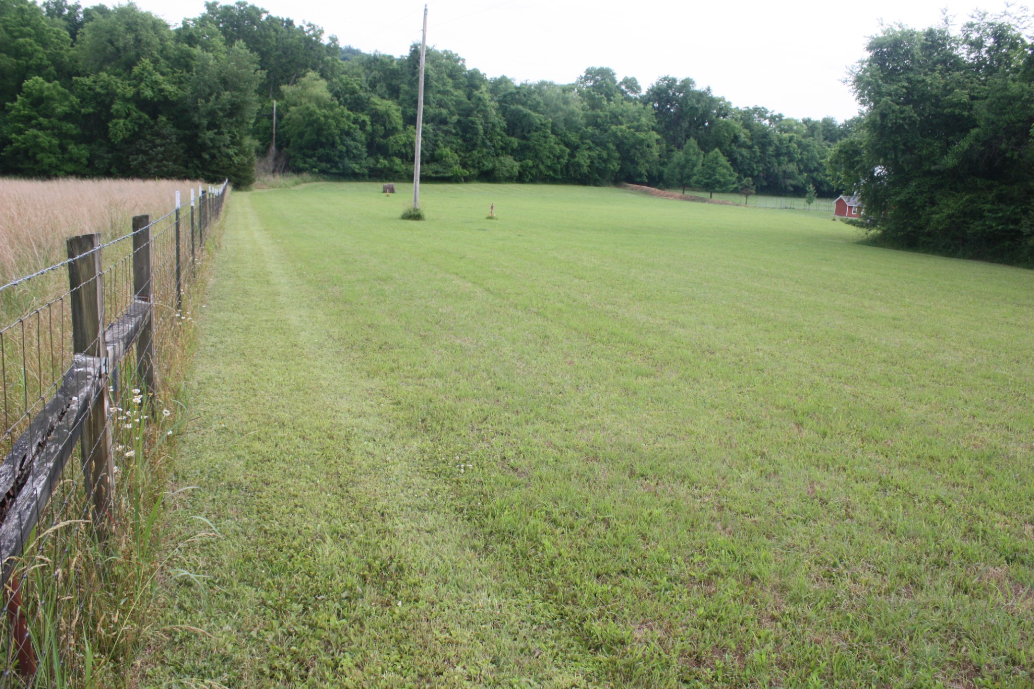 0 Old Highway 99 Spring Hill, TN 37174 - Photo 12 of 22 a view of a field with trees in the background