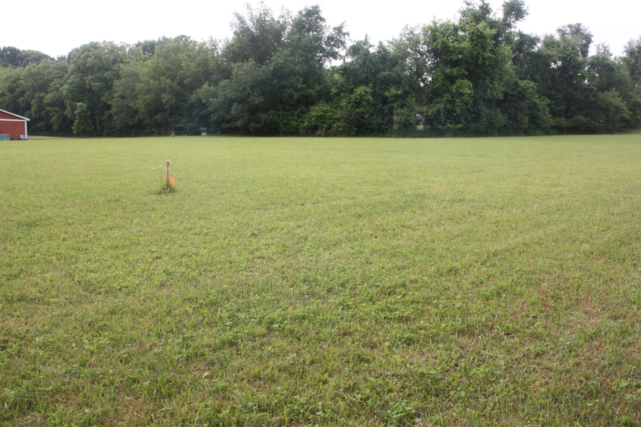 0 Old Highway 99 Spring Hill, TN 37174 - Photo 14 of 22 a view of outdoor space and yard