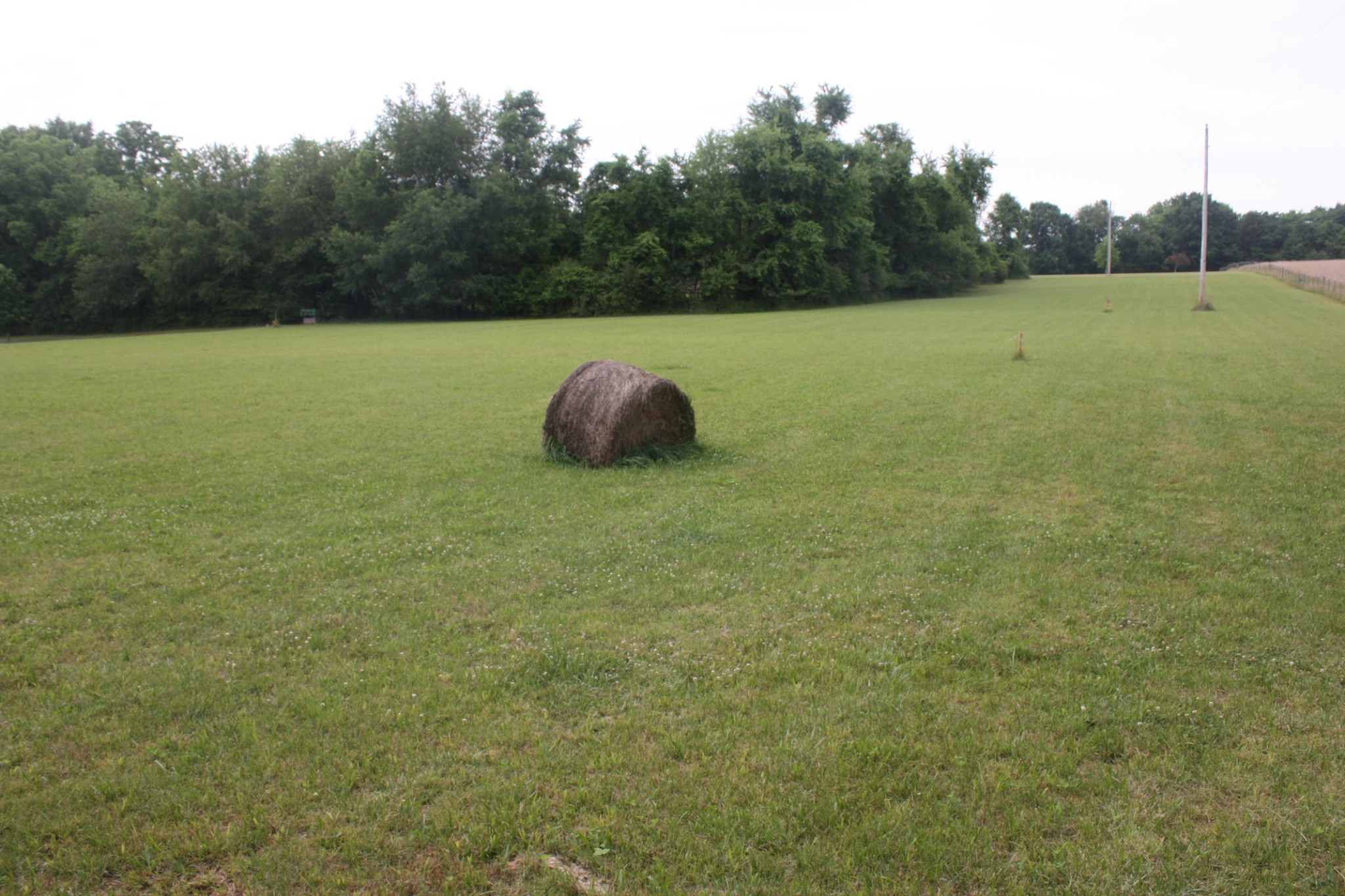 0 Old Highway 99 Spring Hill, TN 37174 - Photo 15 of 22 a view of outdoor space and yard