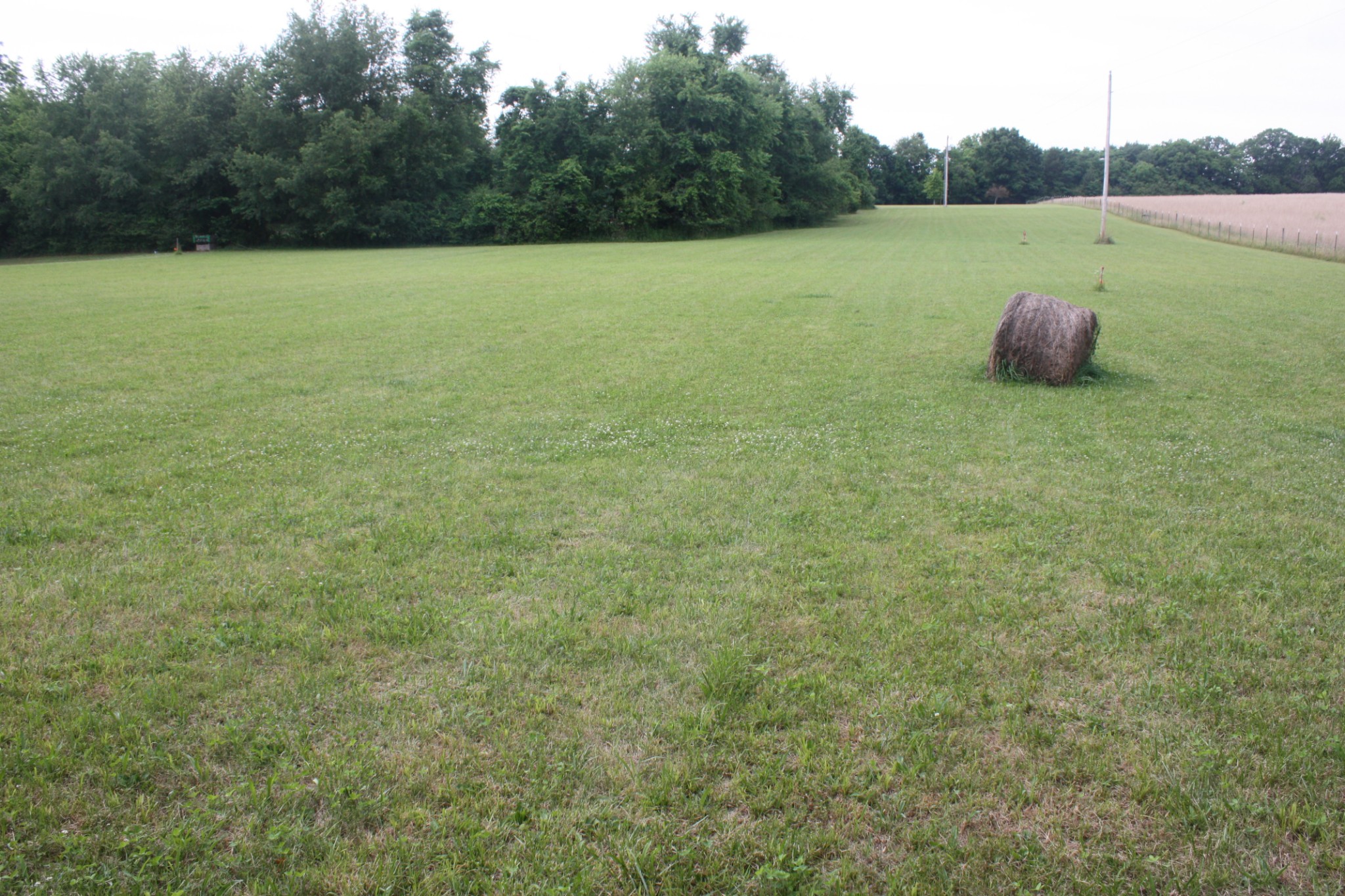 0 Old Highway 99 Spring Hill, TN 37174 - Photo 16 of 22 a view of a field with trees in the background