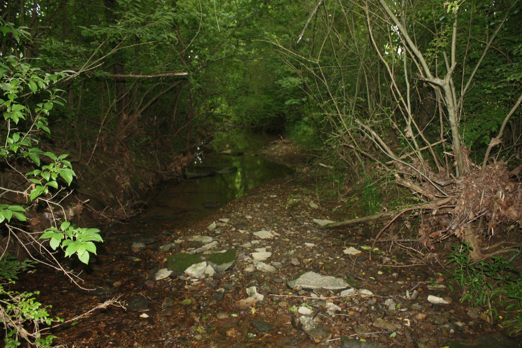 0 Old Highway 99 Spring Hill, TN 37174 - Photo 20 of 22 a backyard of a house