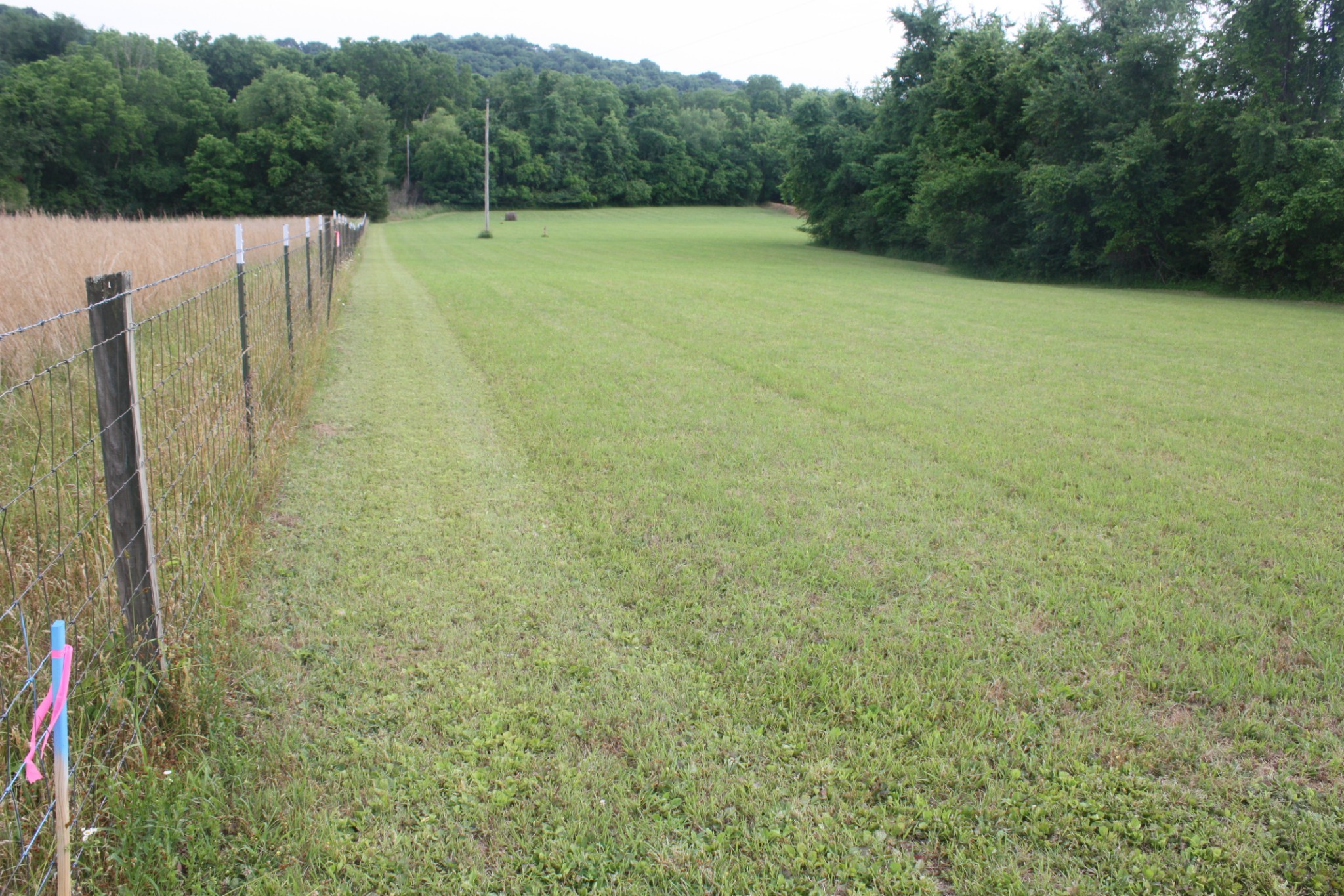 0 Old Highway 99 Spring Hill, TN 37174 - Photo 3 of 22 a view of a green field with trees in the background
