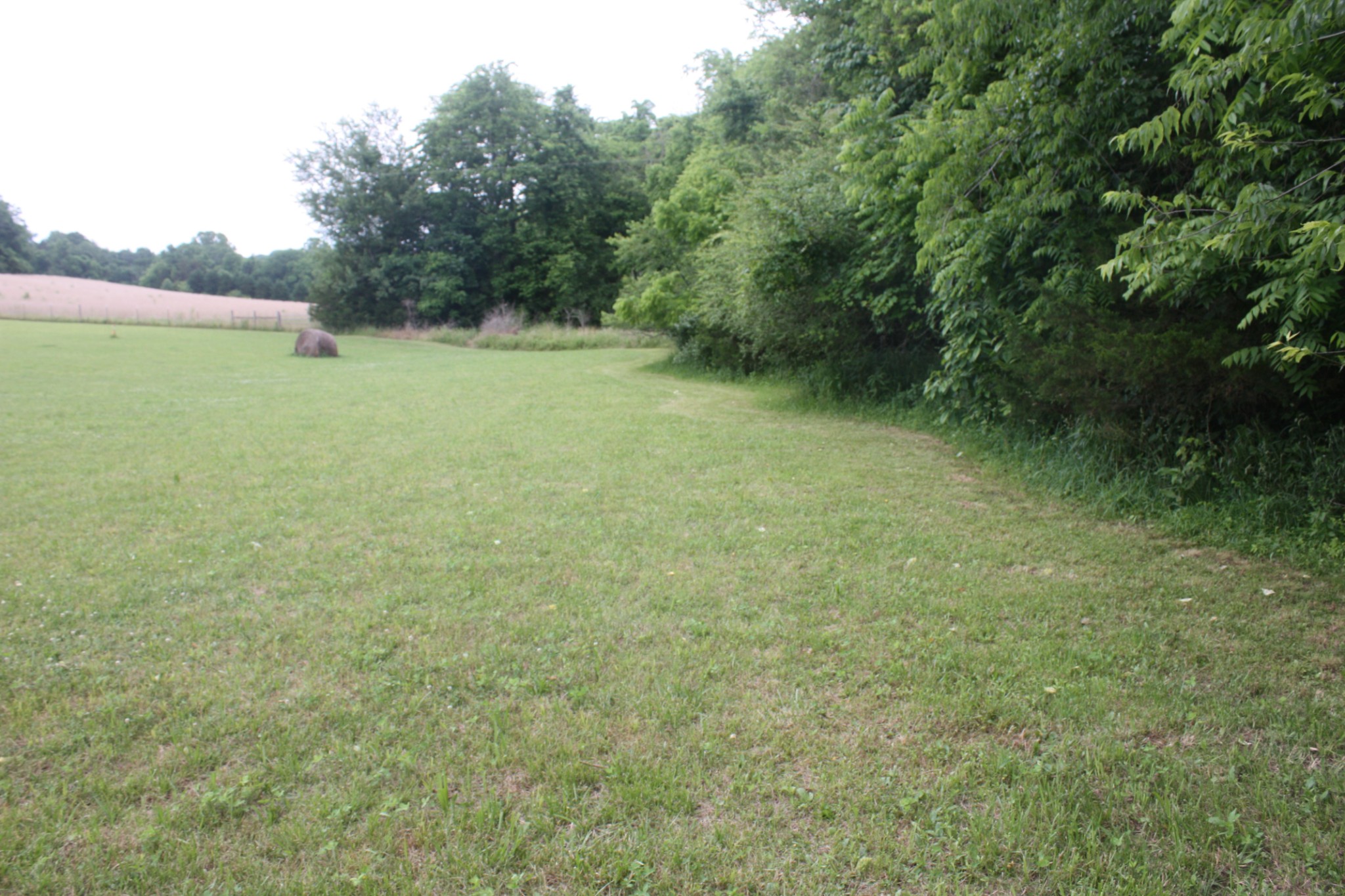 0 Old Highway 99 Spring Hill, TN 37174 - Photo 21 of 22 a view of outdoor space and yard