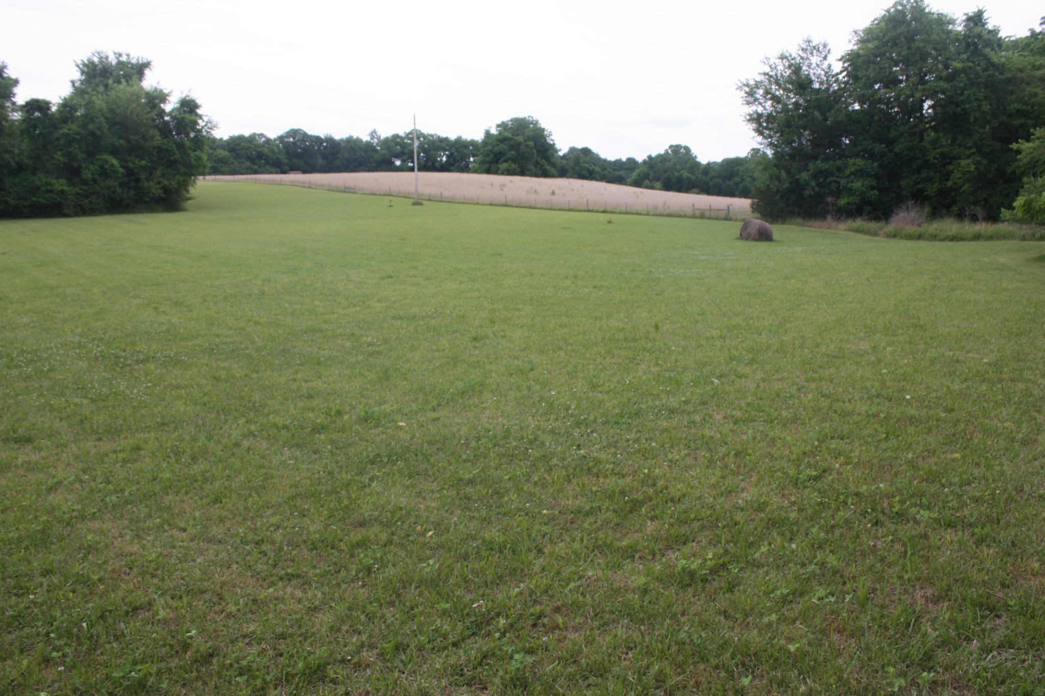0 Old Highway 99 Spring Hill, TN 37174 - Photo 22 of 22 a view of outdoor space and yard