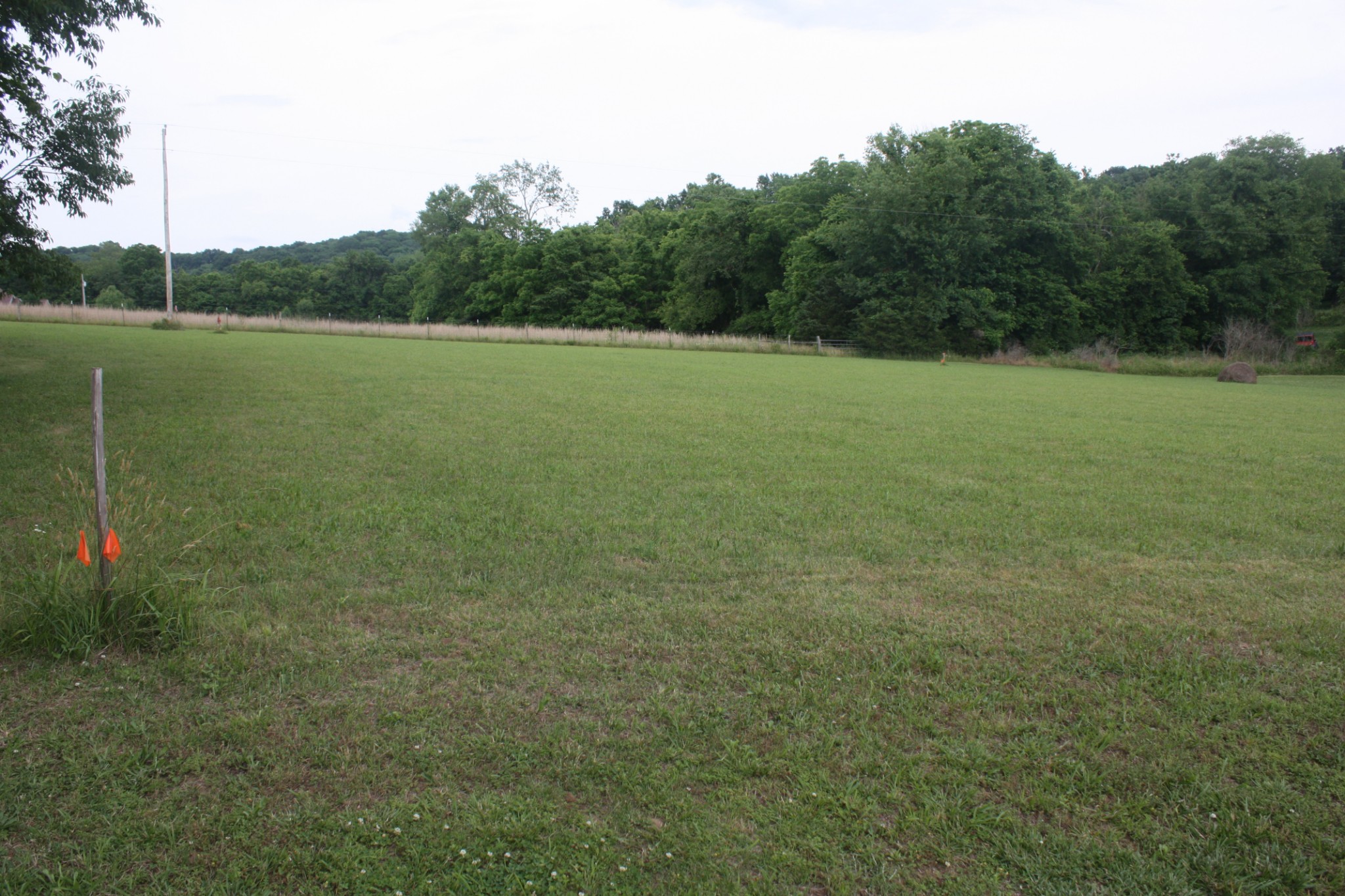 0 Old Highway 99 Spring Hill, TN 37174 - Photo 8 of 22 a view of a field with a tree