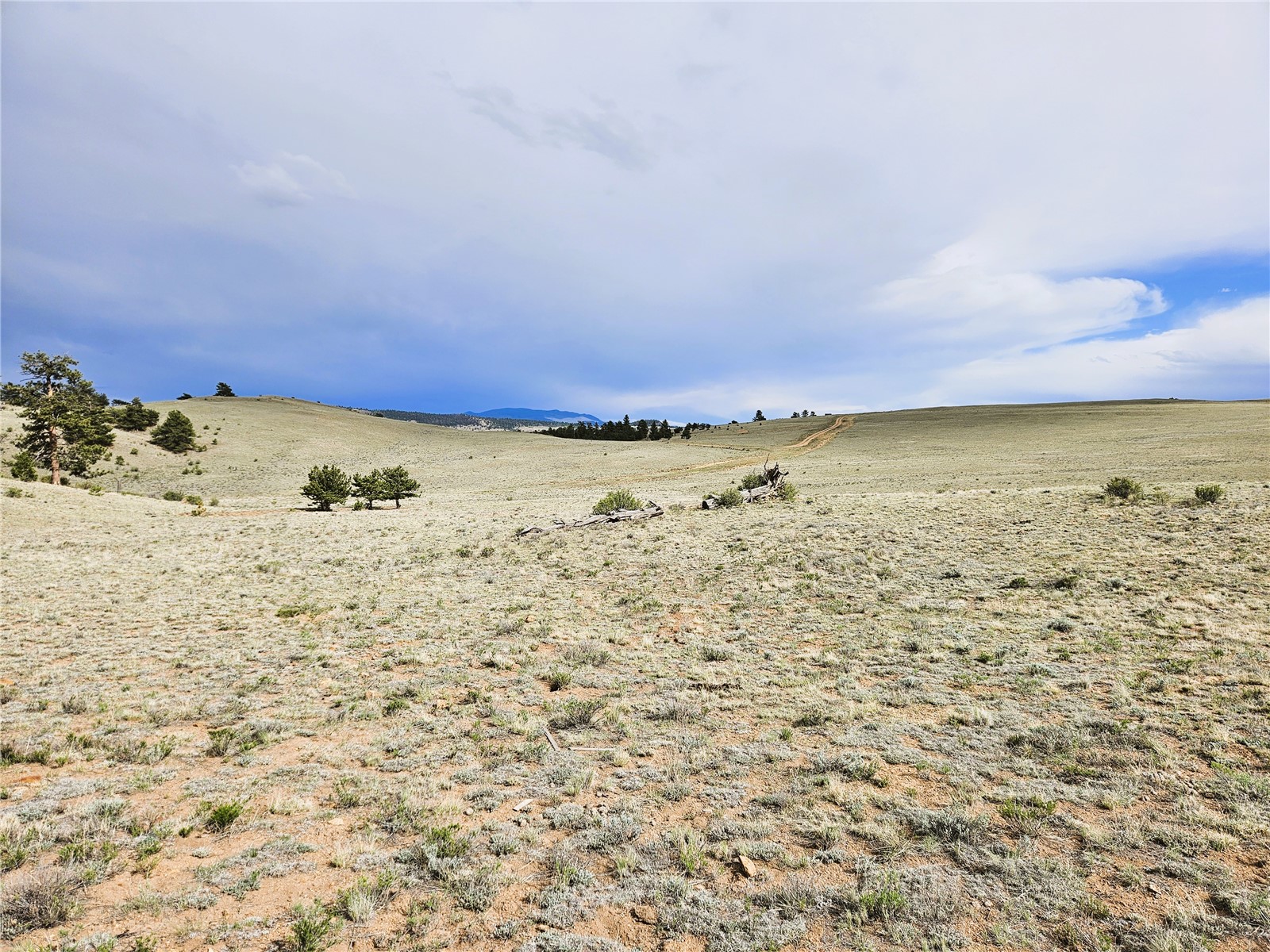 Pcs#24131 Chato Road Hartsel, CO 80449 - Photo 12 of 28