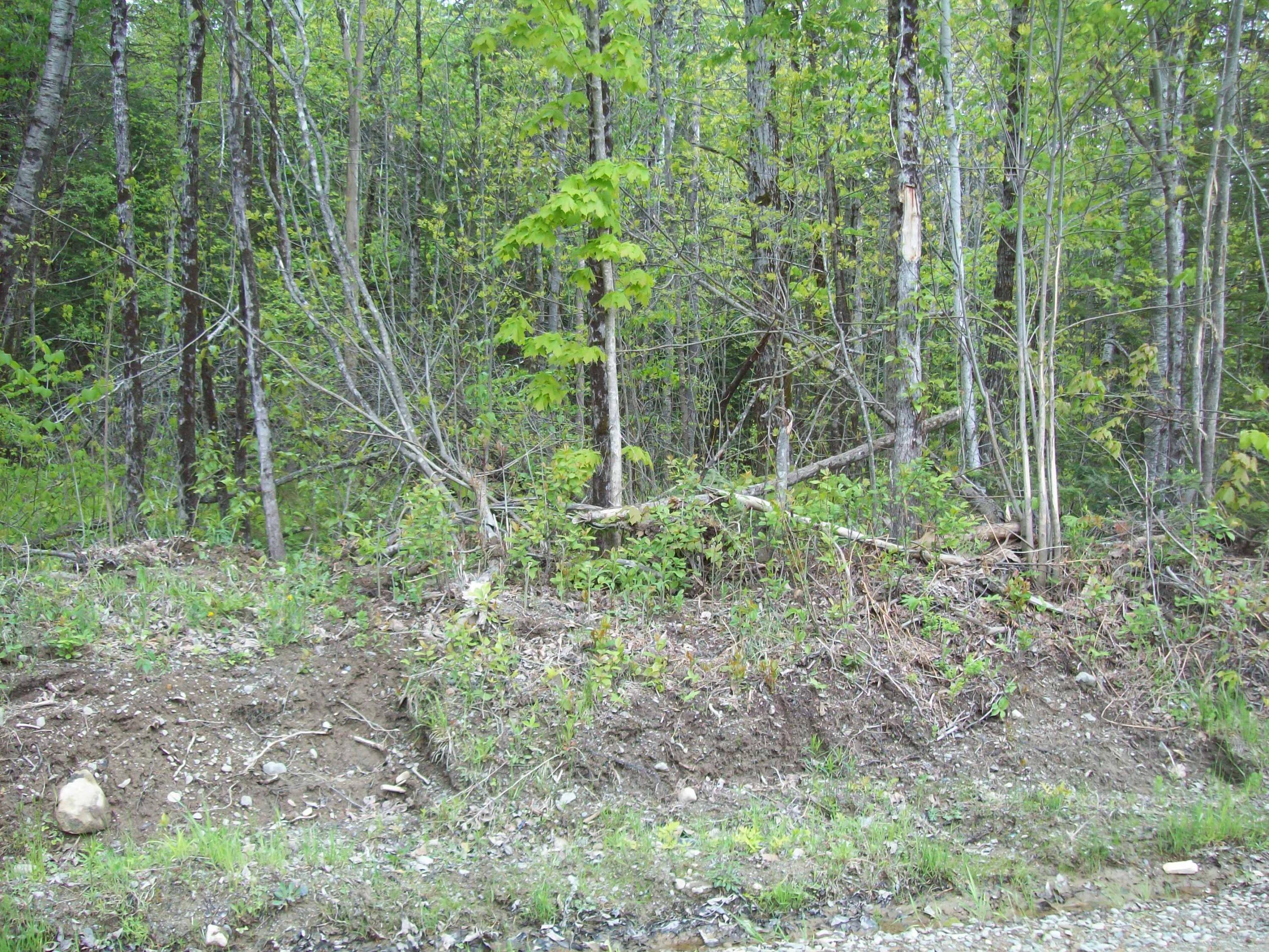 Tbd Thomas Hill Road Lee, ME 04455 - Photo 6 of 6 100_3428