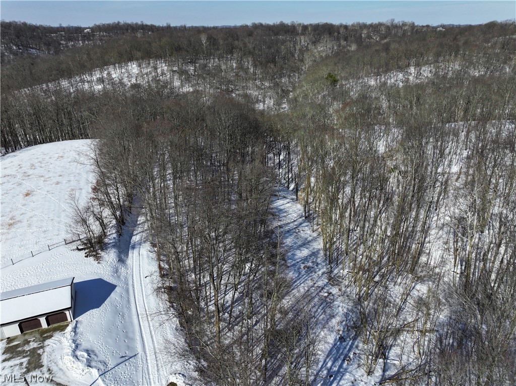 0 Tract 4 Twp Road Woodsfield, OH 43793 - Photo 17 of 34
